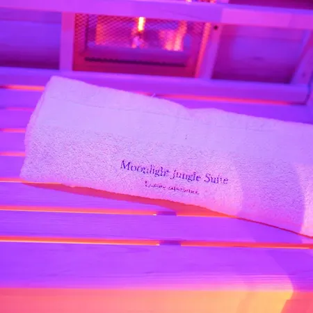 Moonlight Jungle Luxury Experience אבולה