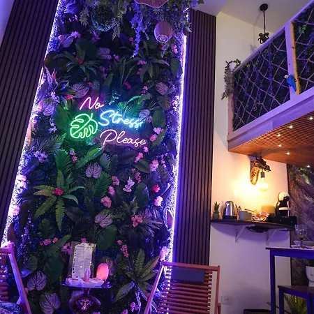 דירה Moonlight Jungle Luxury Experience *