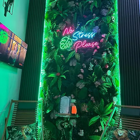 Moonlight Jungle Luxury Experience
