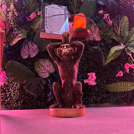 Moonlight Jungle Luxury Experience