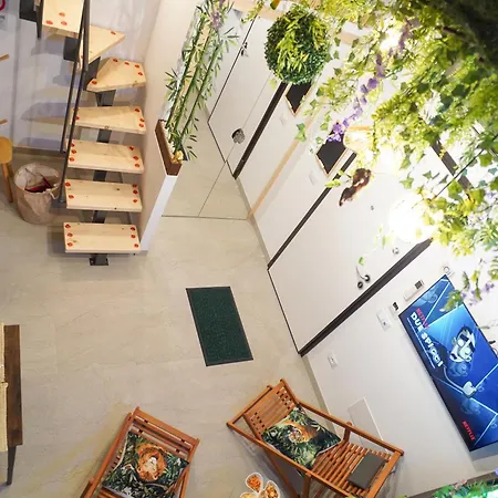 Apartment Moonlight Jungle Luxury