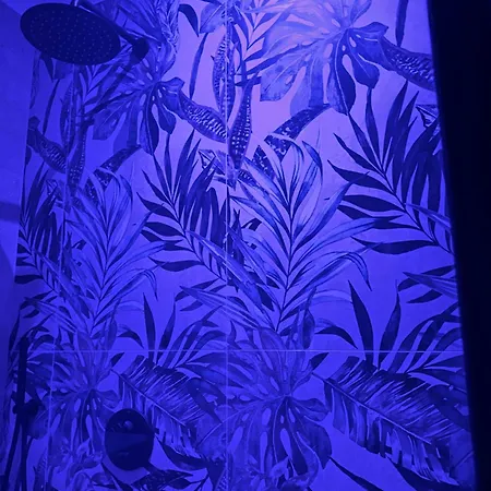 Moonlight Jungle Luxury Experience דירה אבולה