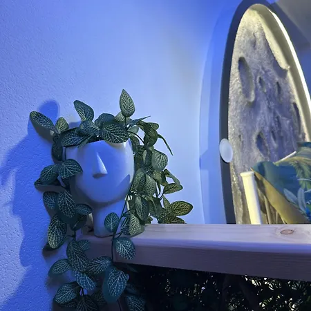 Moonlight Jungle Luxury Experience אבולה